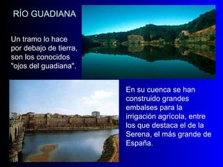 RÍO GUADIANA Un tramo lo hace por debajo de tierra, son los conocidos "ojos del guadiana".  En su cuenca se han construido grandes embalses para la irrigación agrícola, entre los que destaca el de la Serena, el más grande de España.   