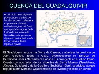 CUENCA DEL GUADALQUIVIR El Guadalquivir nace en la Sierra de Cazorla, y atraviesa la provincia de Jaén, Córdoba, Sevilla, y Cádiz, desembocando en Sanlúcar de Barrameda, en las Marismas de Doñana. Es navegable en el último tramo. Cuenta con aportación de los afluentes de Sierra Morena (Guadalimar, Jándula, Guadiato) y de la Cordillera Subbética (Genil, caudaloso porque baja de Sierra Morena). Caudal máximo en invierno y mínimo en verano. Al principio tiene régimen pluvial, pues la altura de las sierras de su cabecera es pequeña. Cuando recibe las aguas del Genil que aporta las aguas de la fusión de las nieves de Sierra Nevada, pasa a un régimen pluvio-nival y más tarde vuelve a tener régimen pluvial 