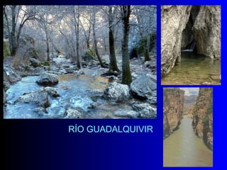 RÍO GUADALQUIVIR 