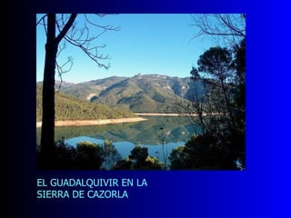 EL GUADALQUIVIR EN LA SIERRA DE CAZORLA 