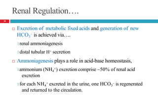 Renal Regulation….
 Excretion of metabolic fixed acids and generation of new
–
HCO3 is achieved via….
🞑 renal ammoniagenesis
🞑 distal tubular H+ secretion
 Ammoniagenesis plays a role in acid-base homeostasis,
🞑 ammonium (NH4
+) excretion comprise ~50% of renal acid
excretion
🞑 for each NH4
+ excreted in the urine, one HCO3
– is regenerated
and returned to the circulation.
10
 