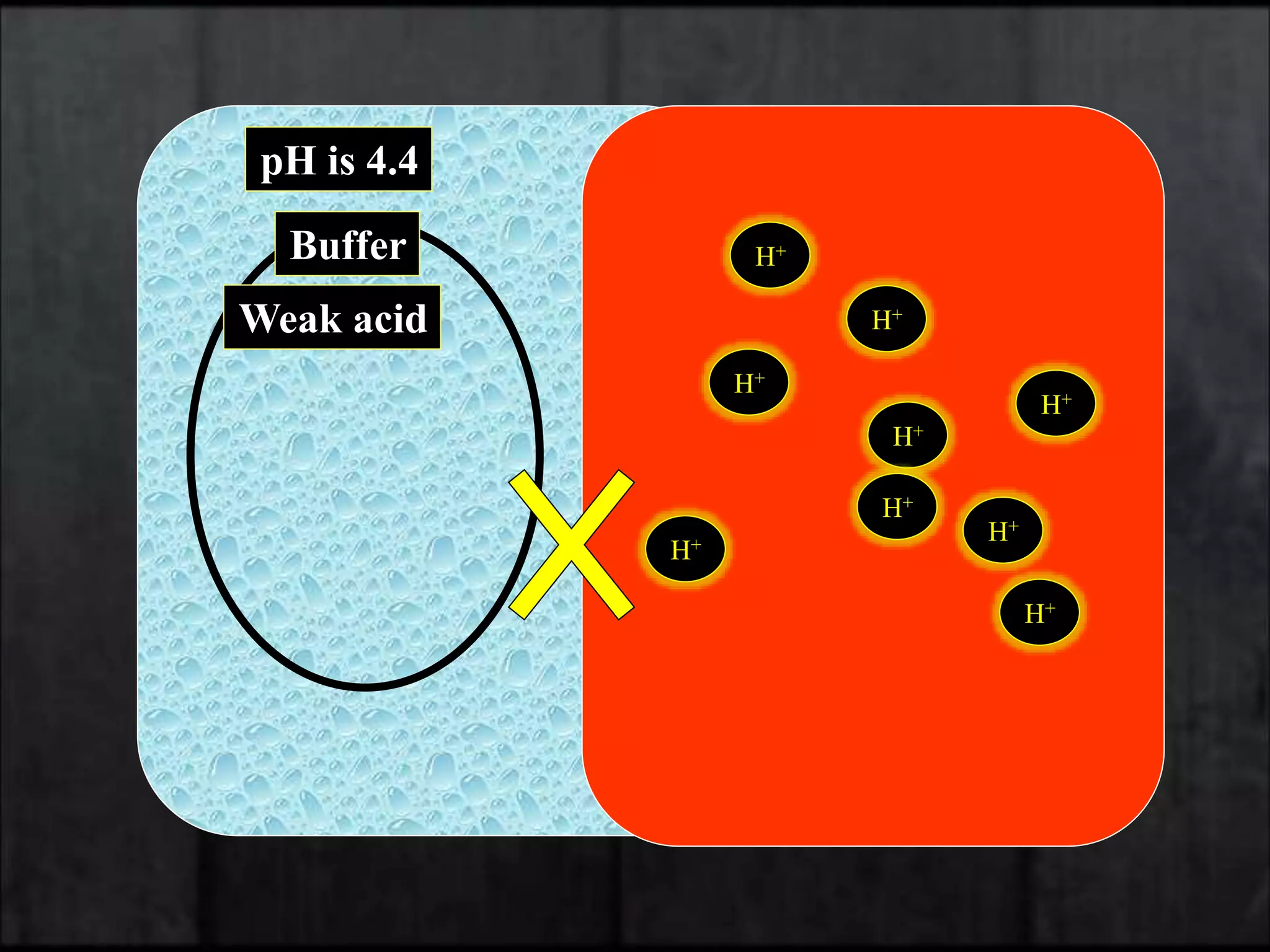 5-Acid-Base Physiology .ppt