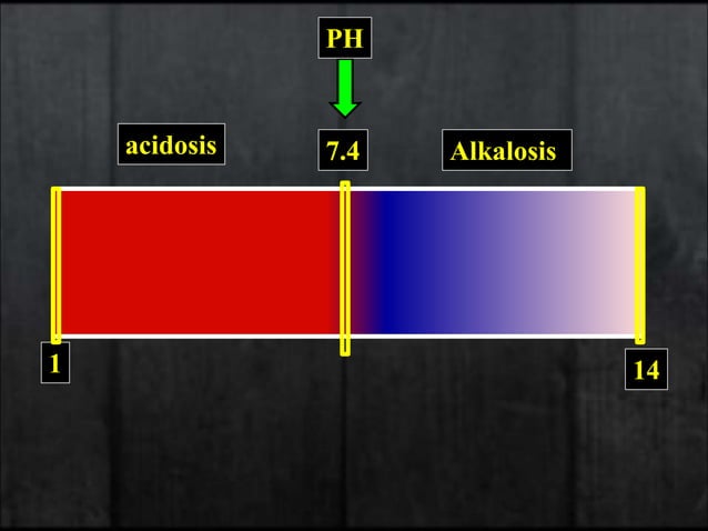 5-Acid-Base Physiology .ppt