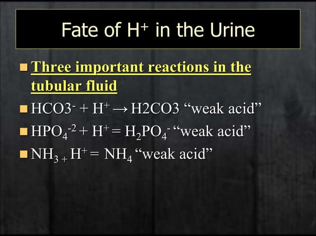 5-Acid-Base Physiology .ppt