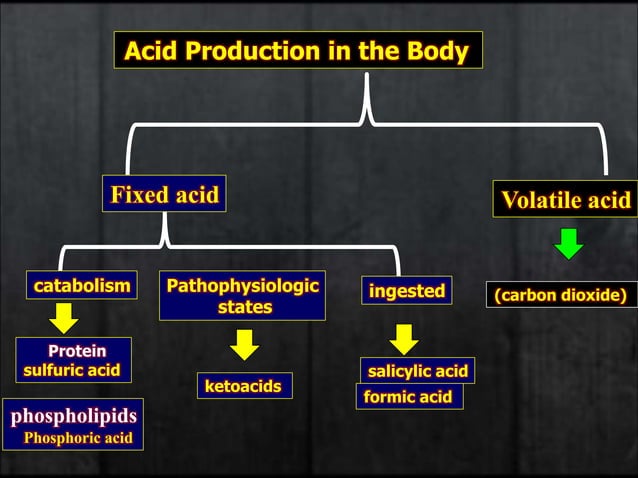 5-Acid-Base Physiology .ppt