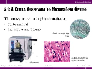Capítulo
                      5                                                            A descoberta da célula


    5.2 A CÉLULA OBSERVADA AO MICROSCÓPIO ÓPTICO
    TÉCNICAS DE PREPARAÇÃO CITOLÓGICA
    • Corte manual
    • Inclusão e micrótomo
                                                        Corte histológico de
                                                                       caule




                                                                               Corte histológico de
                                                                               tecido cardíaco
                               Micrótomo
Biologia – 1º ano Ens. Médio               1º Período                                Profa. Rebeca Vale
 