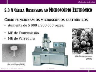 Capítulo
                      5                        A descoberta da célula


    5.3 A CÉLULA OBSERVADA AO MICROSCÓPIO ELETRÔNICO

    COMO FUNCIONAM OS MICROSCÓPIOS ELETRÔNICOS
    • Aumenta de 5 000 a 300 000 vezes.

    • ME de Transmissão
    • ME de Varredura



                                            Células sanguíneas
                                                        (MEV)

        Bacteriófago (MET)
Biologia – 1º ano Ens. Médio   1º Período        Profa. Rebeca Vale
 