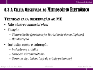 Capítulo
                      5                                       A descoberta da célula


    5.3 A CÉLULA OBSERVADA AO MICROSCÓPIO ELETRÔNICO

    TÉCNICAS PARA OBSERVAÇÃO AO ME
    • Não observa material vivo!
    • Fixação
          – Glutaraldeído (proteínas) e Tetróxido de ósmio (lipídios)
          – Desidratação
    • Inclusão, corte e coloração
          – Inclusão em araldite
          – Corte em ultramicrótomo
          – Corantes eletrônicos (sais de urânio e chumbo)

Biologia – 1º ano Ens. Médio          1º Período                Profa. Rebeca Vale
 