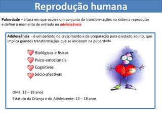 Reprodução humana
Puberdade – altura em que ocorre um conjunto de transformações no sistema reprodutor
e define o momento de entrada na adolescência

   Adolescência - é um período de crescimento e de preparação para o estado adulto, que
   implica grandes transformações que se iniciaram na puberdade

                   Biológicas e físicas
                   Psico-emocionais
                   Cognitivas
                   Sócio-afectivas


      OMS: 12 – 19 anos
      Estatuto da Criança e do Adolescente: 12 – 18 anos
 