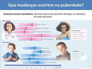 Que mudanças ocorrem na puberdade?
Caracteres sexuais secundários: são traços físicos que permitem distinguir os indivíduos
                                de sexos diferentes
 