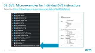 5 - Advanced SVE.pdf