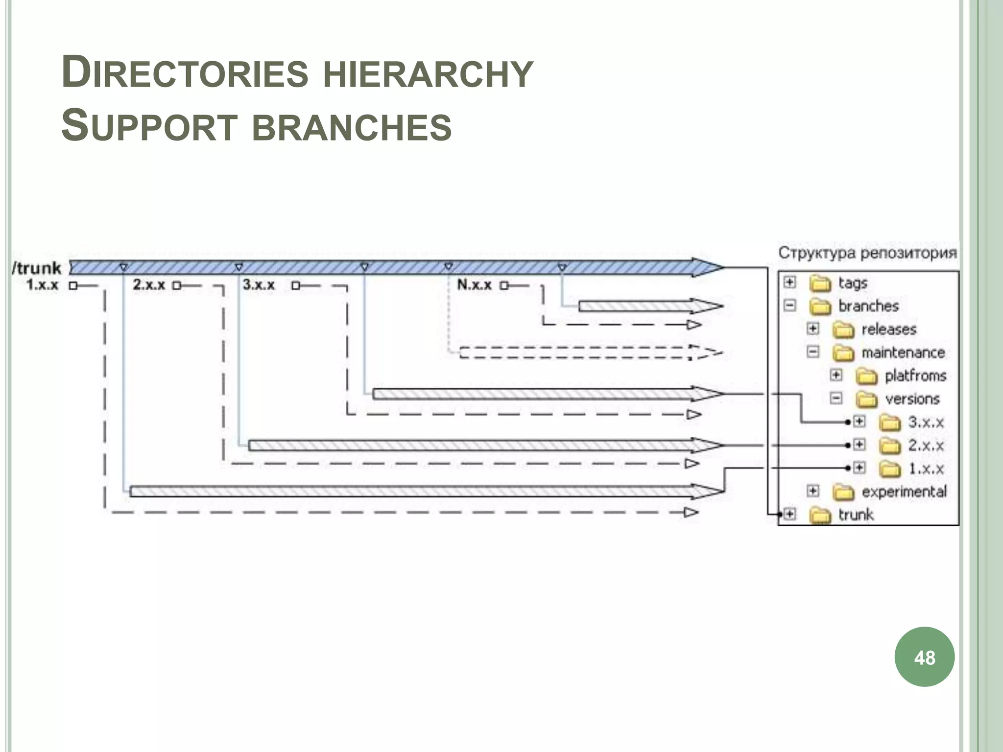 DIRECTORIES HIERARCHY
SUPPORT BRANCHES




                        48
 