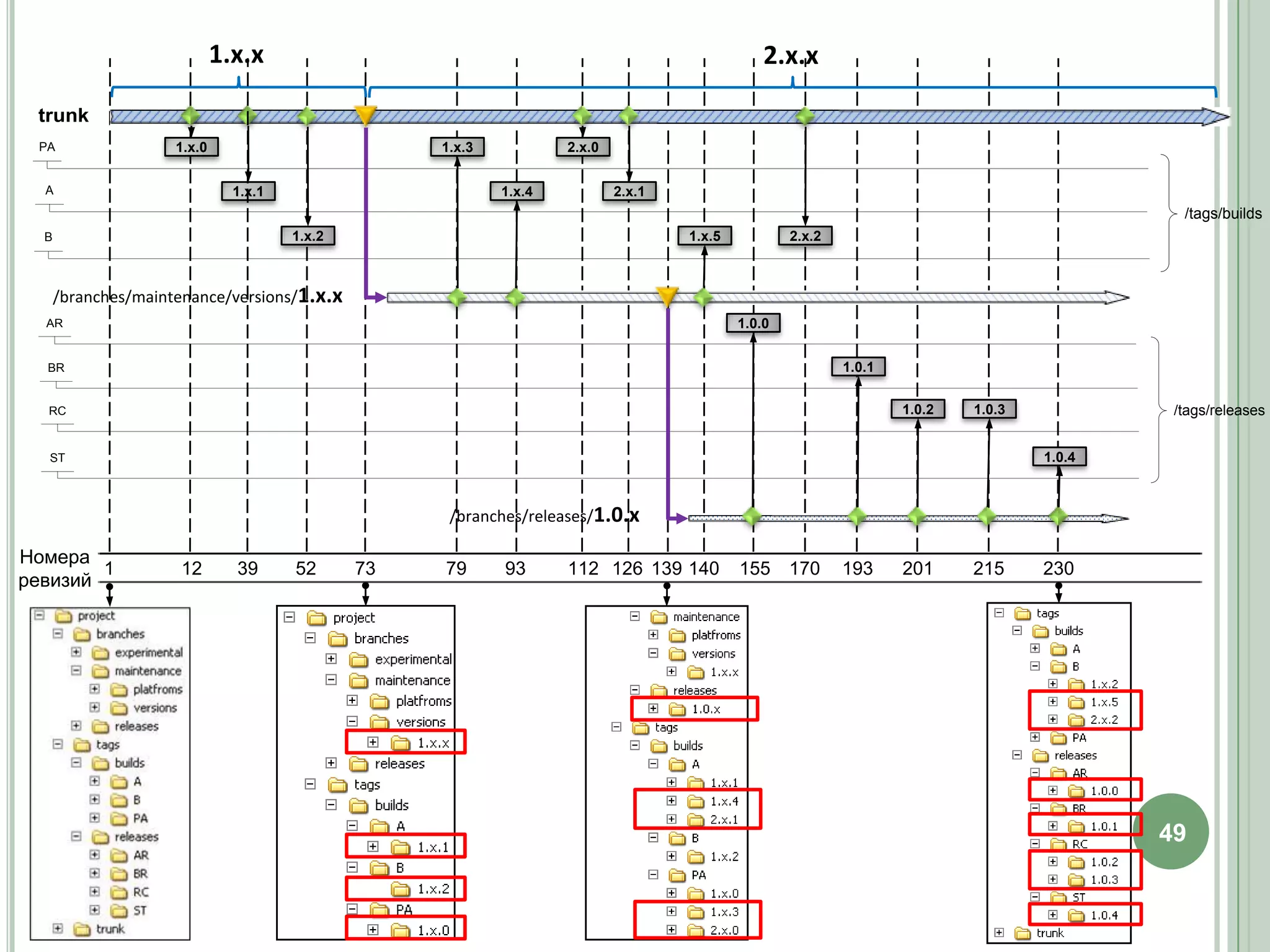 1.x.x                                                              2.x.x

 trunk
 PA                  1.x.0                          1.x.3           2.x.0

  A                            1.x.1                        1.x.4           2.x.1
                                                                                                                                              /tags/builds
  B                                    1.x.2                                        1.x.5           2.x.2



      /branches/maintenance/versions/1.x.x
  AR                                                                                        1.0.0


  BR                                                                                                        1.0.1


  RC                                                                                                                1.0.2   1.0.3            /tags/releases


  ST                                                                                                                                1.0.4



                                                     /branches/releases/1.0.x

Номера
        1            12        39      52      73   79      93      112 126 139 140         155     170     193     201     215     230
ревизий




                                                                                                                                            49
 