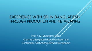 EXPERIENCE WITH SRI IN BANGLADESH
THROUGH PROMOTION AND NETWORKING
Prof. A. M. Muazzam Husain
Chairman, Bangladesh Rice Foundation and
Coordinator, SRI National Network Bangladesh
 