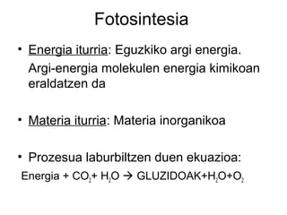 Fotosintesia
• Energia iturria: Eguzkiko argi energia.
Argi-energia molekulen energia kimikoan
eraldatzen da
• Materia iturria: Materia inorganikoa
• Prozesua laburbiltzen duen ekuazioa:
Energia + CO2+ H2O  GLUZIDOAK+H2O+O2

 