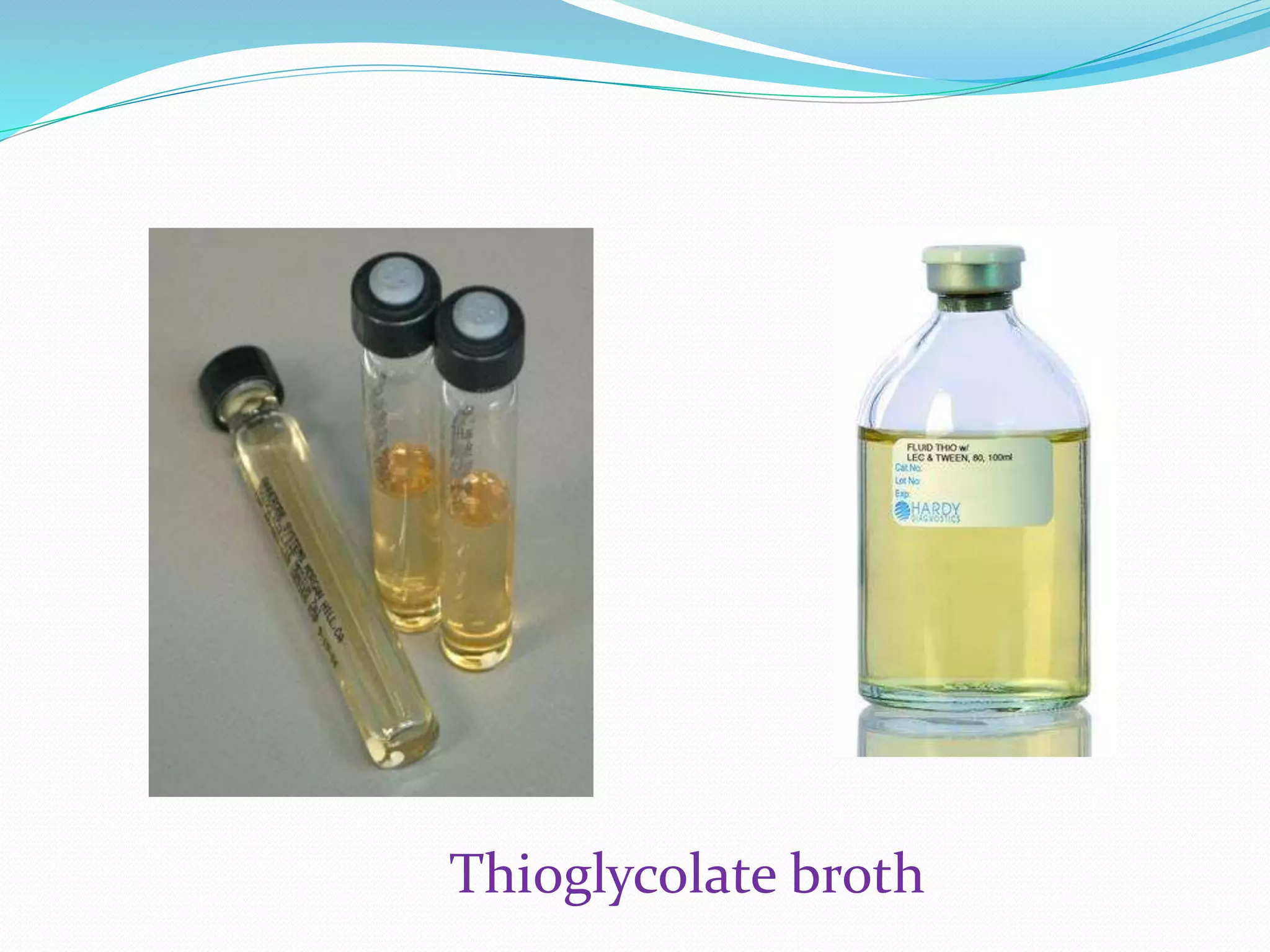 Thioglycolate broth
 