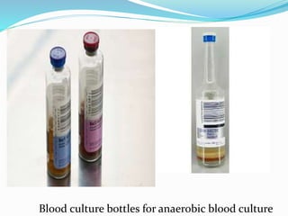 Blood culture bottles for anaerobic blood culture
 