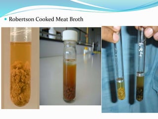  Robertson Cooked Meat Broth
 