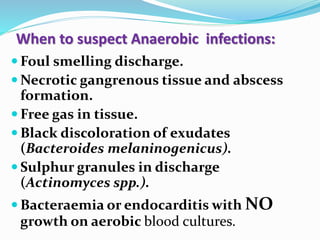  Foul smelling discharge.
 Necrotic gangrenous tissue and abscess
formation.
 Free gas in tissue.
 Black discoloration of exudates
(Bacteroides melaninogenicus).
 Sulphur granules in discharge
(Actinomyces spp.).
 Bacteraemia or endocarditis with NO
growth on aerobic blood cultures.
When to suspect Anaerobic infections:
 