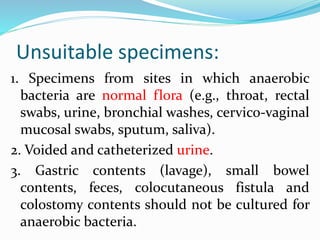 Unsuitable specimens:
1. Specimens from sites in which anaerobic
bacteria are normal flora (e.g., throat, rectal
swabs, urine, bronchial washes, cervico-vaginal
mucosal swabs, sputum, saliva).
2. Voided and catheterized urine.
3. Gastric contents (lavage), small bowel
contents, feces, colocutaneous fistula and
colostomy contents should not be cultured for
anaerobic bacteria.
 