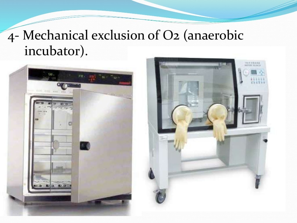 Anaerobic Culture Methods