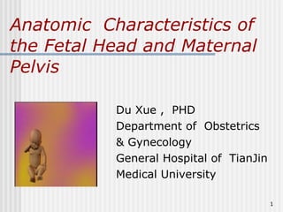 Anatomic  Characteristics of the Fetal Head and Maternal Pelvis ,[object Object],[object Object],[object Object],[object Object],[object Object]