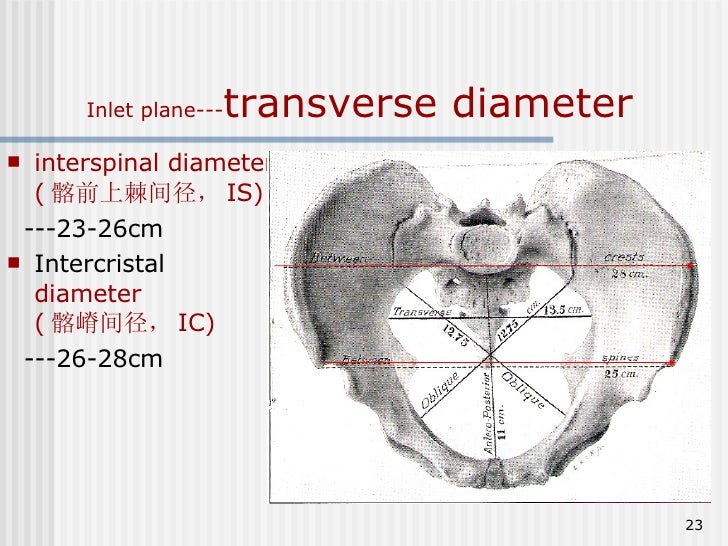 5.Anatomic Characteristics Of The Fetal Head And Maternal