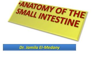 Dr. Jamila El-Medany
 