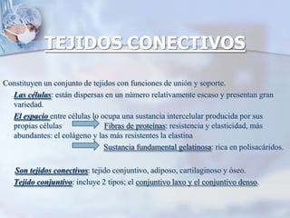 TEJIDOS CONECTIVOSConstituyen un conjunto de tejidos con funciones de unión y soporte.Las células: están dispersas en un número relativamente escaso y presentan gran variedad.El espacio entre células lo ocupa una sustancia intercelular producida por sus propias células                     Fibras de proteínas: resistencia y elasticidad, más abundantes: el colágeno y las más resistentes la elastinaSustancia fundamental gelatinosa: rica en polisacáridos. Son tejidos conectivos: tejido conjuntivo, adiposo, cartilaginoso y óseo.Tejido conjuntivo: incluye 2 tipos; el conjuntivo laxo y el conjuntivo denso. 