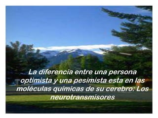 La diferencia entre una persona
optimista y una pesimista esta en las
moléculas químicas de su cerebro: Los
neurotransmisores
 
