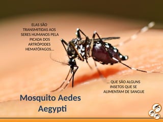 ELAS SÃO
TRANSMITIDAS AOS
SERES HUMANOS PELA
PICADA DOS
ARTRÓPODES
HEMATÓFAGOS...
... QUE SÃO ALGUNS
INSETOS QUE SE
ALIMENTAM DE SANGUE
Mosquito Aedes
Aegypti
 