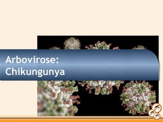 Arbovirose:
Chikungunya
 
