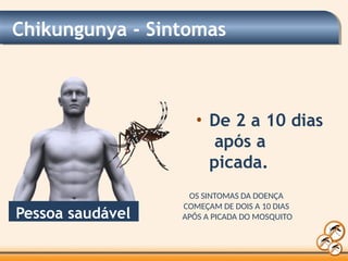 Chikungunya - Sintomas
Pessoa saudável
• De 2 a 10 dias
após a
picada.
OS SINTOMAS DA DOENÇA
COMEÇAM DE DOIS A 10 DIAS
APÓS A PICADA DO MOSQUITO
 