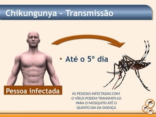 Chikungunya – Transmissão
Pessoa infectada
• Até o 5º dia
AS PESSOAS INFECTADAS COM
O VÍRUS PODEM TRANSMITI-LO
PARA O MOSQUITO ATÉ O
QUINTO DIA DA DOENÇA
 