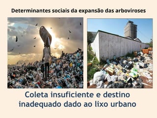 Determinantes sociais da expansão das arboviroses
Coleta insuficiente e destino
inadequado dado ao lixo urbano
 