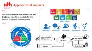 Investment and Business Model for Blue Carbon and Commodities