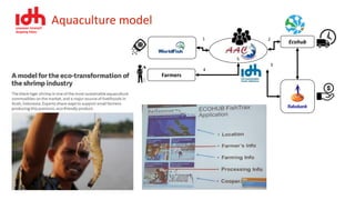 Ecohub
Farmers
1 2
3
4
5
Aquaculture model
 