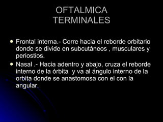 OFTALMICA TERMINALES Frontal interna.- Corre hacia el reborde orbitario donde se divide en subcutáneos , musculares y periostios.  Nasal .- Hacia adentro y abajo, cruza el reborde interno de la órbita  y va al ángulo interno de la orbita donde se anastomosa con el con la angular. 