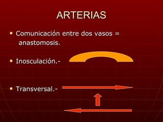 ARTERIAS Comunicación entre dos vasos = anastomosis. Inosculación.- Transversal.- 