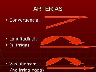 ARTERIAS Convergencia.- Longitudinal.- (si irriga) Vas aberrans.- (no irriga nada) 