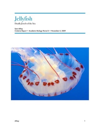 Jellyfish
Deadly Jewels of the Sea

Sam Athey
Cnidaria Report • Academic Biology Period 5 • November 5, 2009




Athey
                                                           1
 