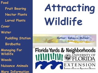 Attracting Wildlife Food Fruit Bearing  Nectar Plants Larval Plants Cover Water Puddling Station Birdbaths  Managing For Wildlife Weeds Nuisance Animals More Information Author: Rebecca McNair 