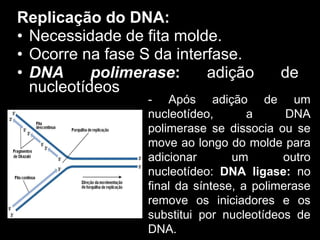 Replicação do DNA:
• Necessidade de fita molde.
• Ocorre na fase S da interfase.
• DNA polimerase: adição de
nucleotídeos
- Após adição de um
nucleotídeo, a DNA
polimerase se dissocia ou se
move ao longo do molde para
adicionar um outro
nucleotídeo: DNA ligase: no
final da síntese, a polimerase
remove os iniciadores e os
substitui por nucleotídeos de
DNA.
 