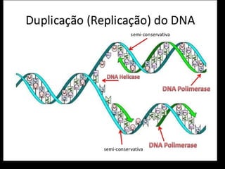 5 ¦ aula - +ücido nucl+®ico
