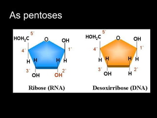 As pentoses
 