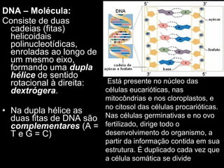 DNA – Molécula:
Consiste de duas
cadeias (fitas)
helicoidais
polinucleotídicas,
enroladas ao longo de
um mesmo eixo,
formando uma dupla
hélice de sentido
rotacional à direita:
dextrógera.
• Na dupla hélice as
duas fitas de DNA são
complementares (A =
T e G = C)
Está presente no núcleo das
células eucarióticas, nas
mitocôndrias e nos cloroplastos, e
no citosol das células procarióticas.
Nas células germinativas e no ovo
fertilizado, dirige todo o
desenvolvimento do organismo, a
partir da informação contida em sua
estrutura. É duplicado cada vez que
a célula somática se divide
 
