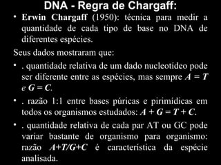 DNA - Regra de Chargaff:
• Erwin Chargaff (1950): técnica para medir a
quantidade de cada tipo de base no DNA de
diferentes espécies.
Seus dados mostraram que:
• . quantidade relativa de um dado nucleotídeo pode
ser diferente entre as espécies, mas sempre A = T
e G = C.
• . razão 1:1 entre bases púricas e pirimídicas em
todos os organismos estudados: A + G = T + C.
• . quantidade relativa de cada par AT ou GC pode
variar bastante de organismo para organismo:
razão A+T/G+C é característica da espécie
analisada.
 