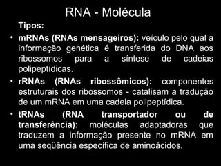 RNA - Molécula
Tipos:
• mRNAs (RNAs mensageiros): veículo pelo qual a
informação genética é transferida do DNA aos
ribossomos para a síntese de cadeias
polipeptídicas.
• rRNAs (RNAs ribossômicos): componentes
estruturais dos ribossomos - catalisam a tradução
de um mRNA em uma cadeia polipeptídica.
• tRNAs (RNA transportador ou de
transferência): moléculas adaptadoras que
traduzem a informação presente no mRNA em
uma seqüência específica de aminoácidos.
 
