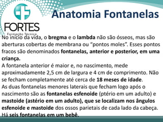 Anatomia Fontanelas
No início da vida, o bregma e o lambda não são ósseos, mas são
aberturas cobertas de membrana ou “pontos moles”. Esses pontos
fracos são denominados fontanelas, anterior e posterior, em uma
criança.
A fontanela anterior é maior e, no nascimento, mede
aproximadamente 2,5 cm de largura e 4 cm de comprimento. Não
se fecham completamente até cerca de 18 meses de idade.
As duas fontanelas menores laterais que fecham logo após o
nascimento são as fontanelas esfenoide (ptério em um adulto) e
mastoide (astério em um adulto), que se localizam nos ângulos
esfenoide e mastoide dos ossos parietais de cada lado da cabeça.
Há seis fontanelas em um bebê.
 
