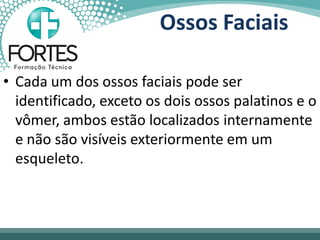 Ossos Faciais
• Cada um dos ossos faciais pode ser
identificado, exceto os dois ossos palatinos e o
vômer, ambos estão localizados internamente
e não são visíveis exteriormente em um
esqueleto.
 